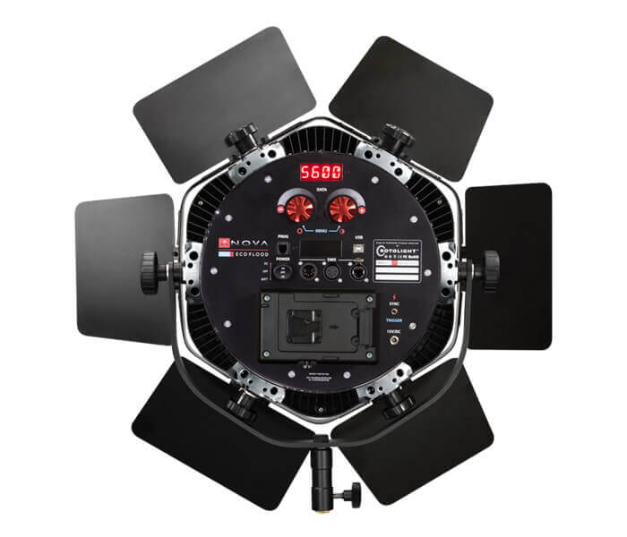 AP2-back